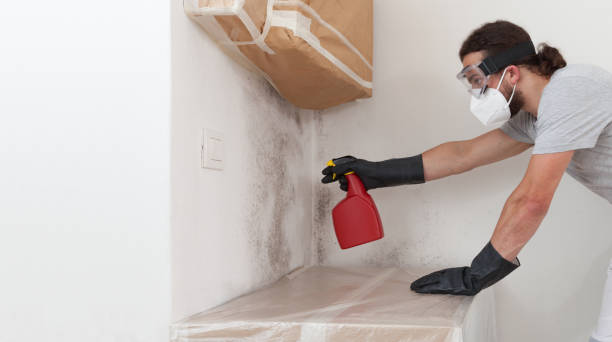 Professional Hvac And Air Duct Mold Remediation technician working in Haslett, MI